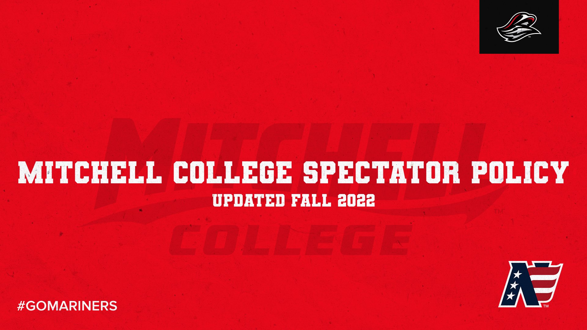 Sports Spectator Policy