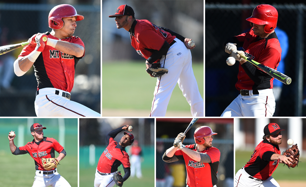 Seven Earn NECC Honors From Baseball