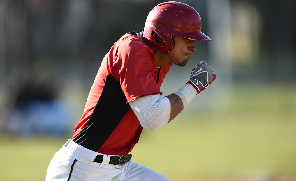 Baseball's Pina Earns NECC, NEIBA Player of the Week Honors