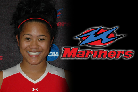 Volleyball's Season Ends in NECC Quarterfinals