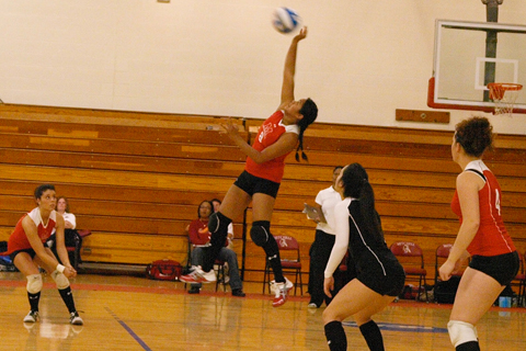Volleyball Loses at Elms