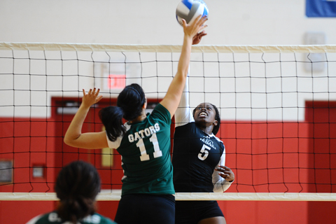 Volleyball Falls 3-0 to ECSU