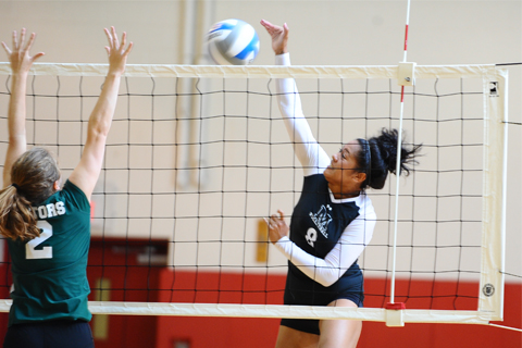 Volleyball Drops Match 3-0 to Pine Manor