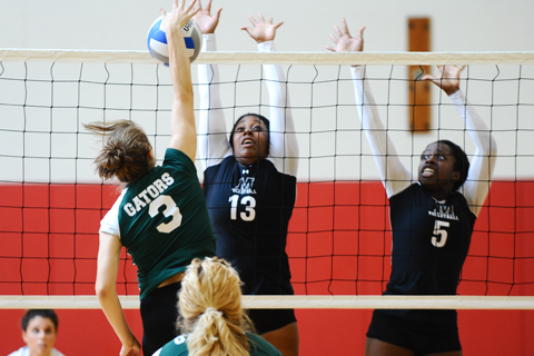 Volleyball Falls to Emmanuel, Johnson & Wales