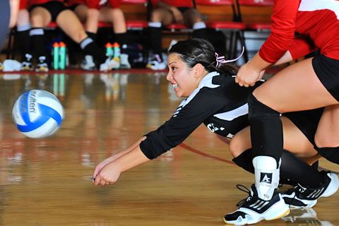 Volleyball Falls to DWC in NECC Opener