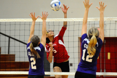 Mitchell Volleyball vs. Elms - 10/10/2012