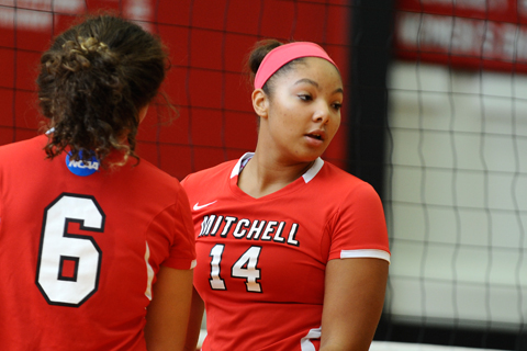 Volleyball Falls Short at Newbury