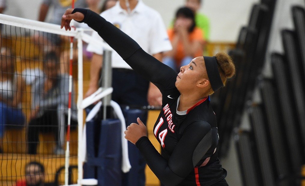 Volleyball Drops 3-0 Decision at Trinity