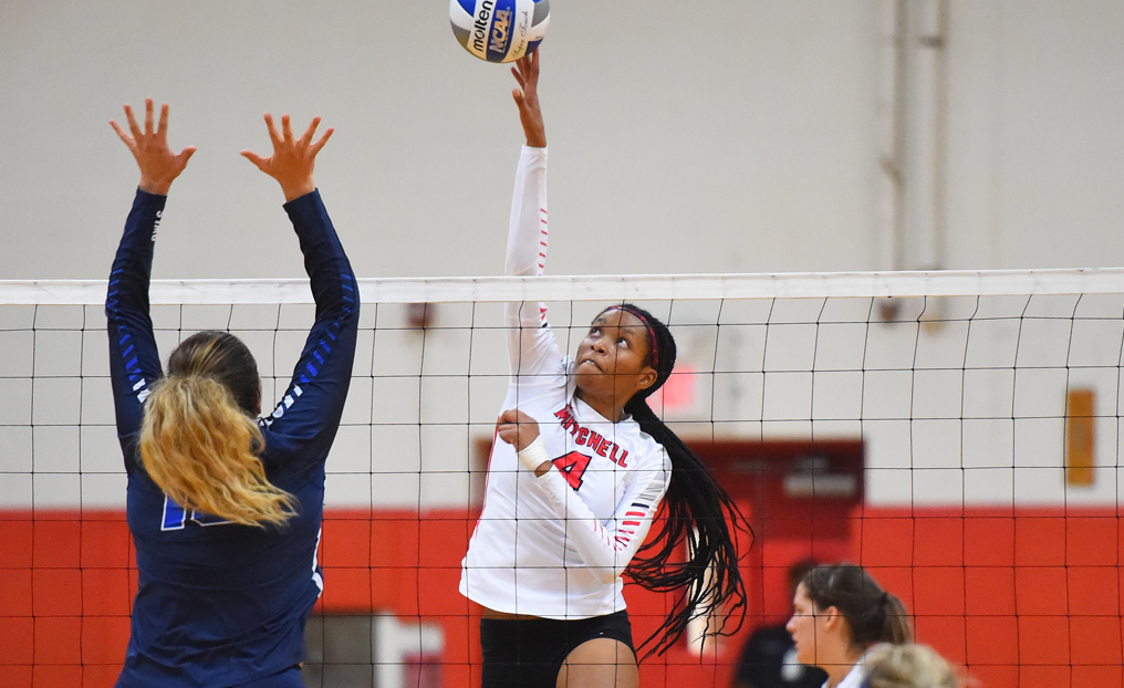 Volleyball Falls Short vs. Albertus Magnus