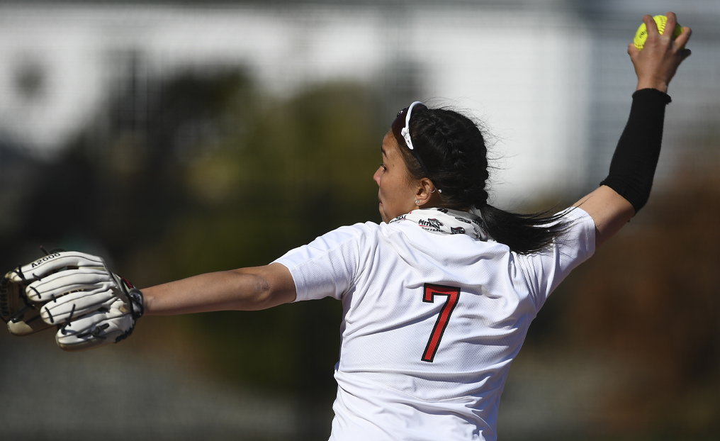 Softball's Lipsky Nabs NECC Weekly Honors
