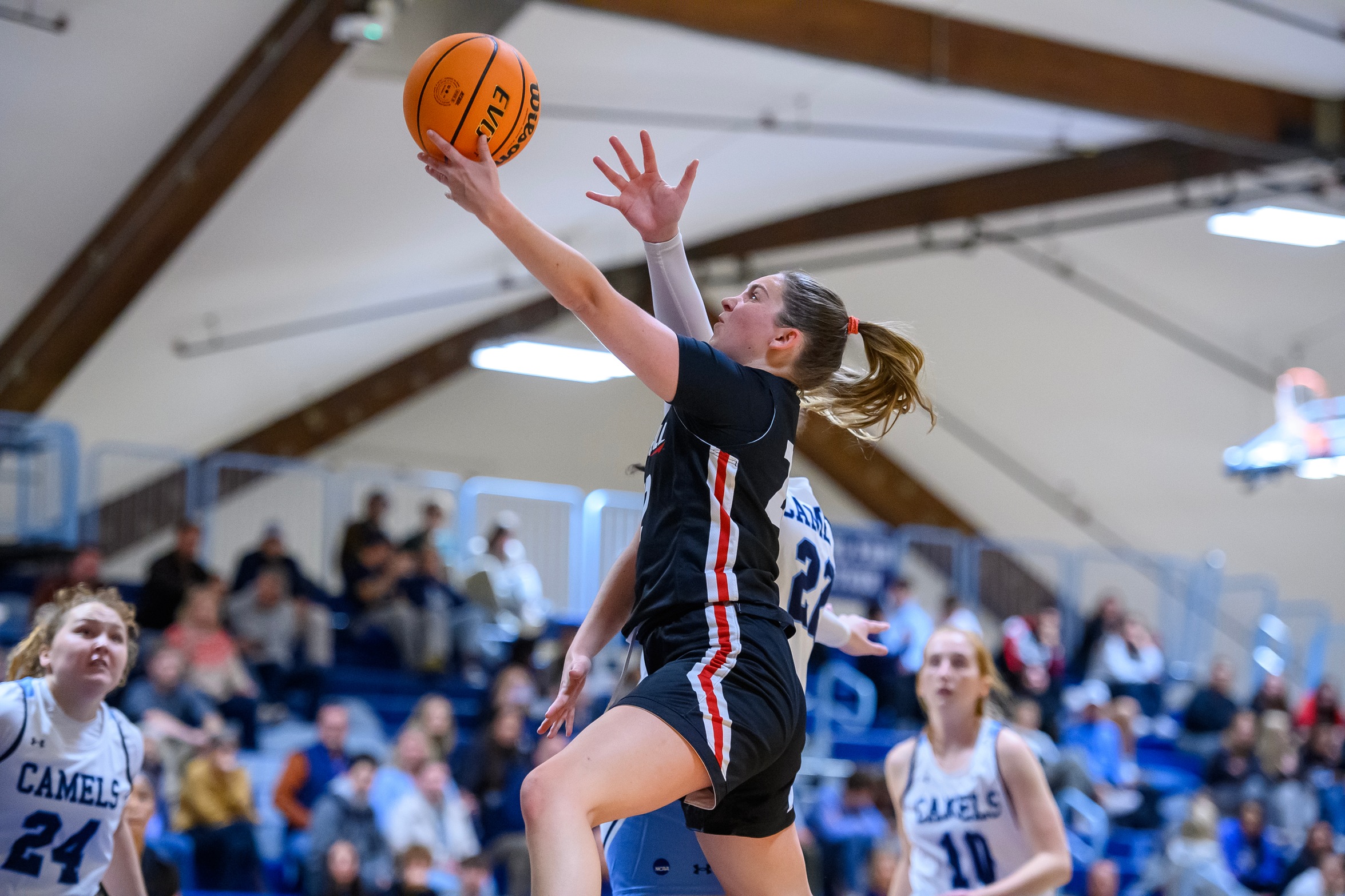 Photo Credit: Steve McLaughlin Photography