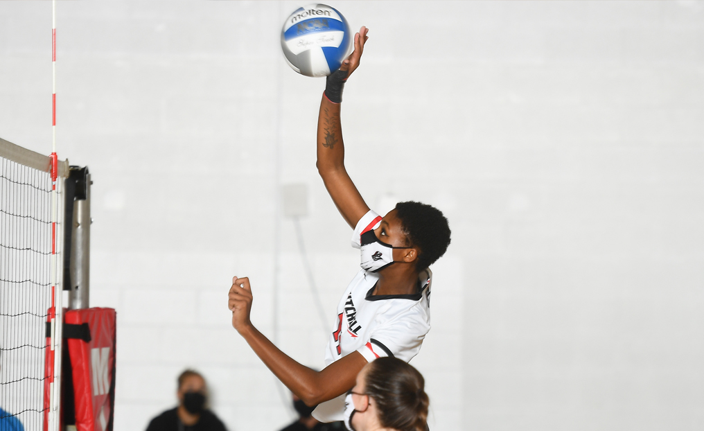 Volleyball Sweeps Past Albertus Magnus