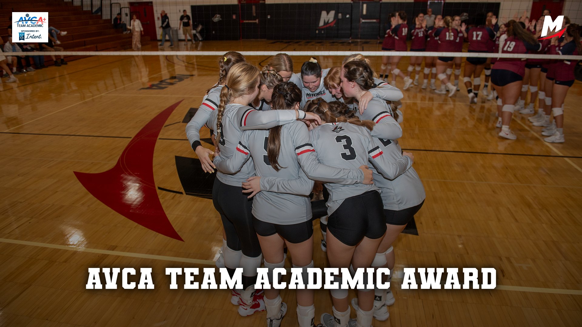Volleyball Honored with AVCA Team Academic Award